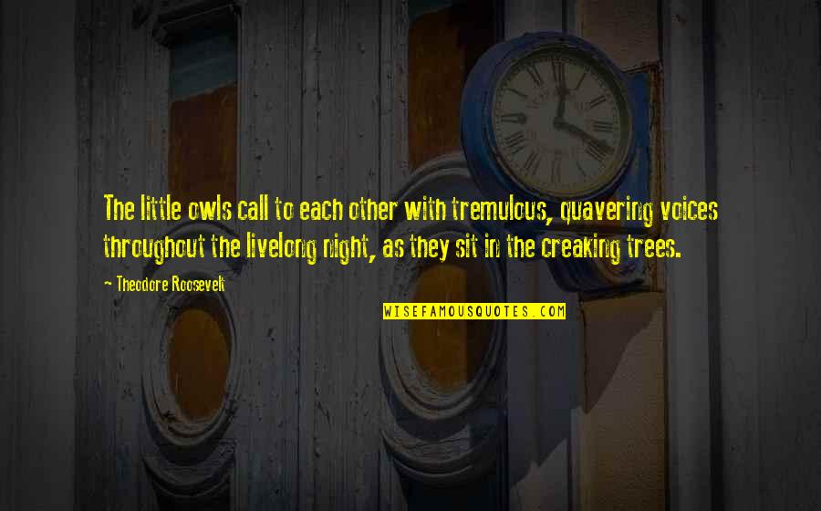 Creaking Quotes By Theodore Roosevelt: The little owls call to each other with Creaking Quotes By Theodore Roosevelt: The little owls call to each other with