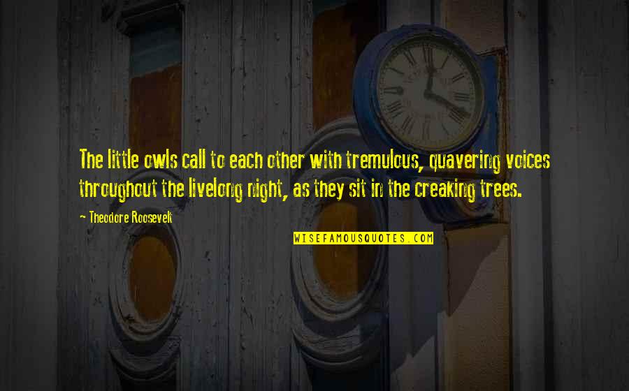 Creaking Quotes By Theodore Roosevelt: The little owls call to each other with