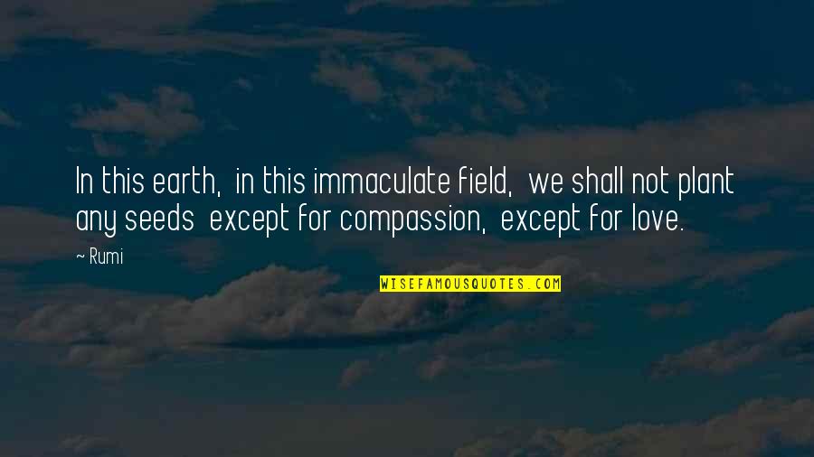 Creakings Quotes By Rumi: In this earth, in this immaculate field, we