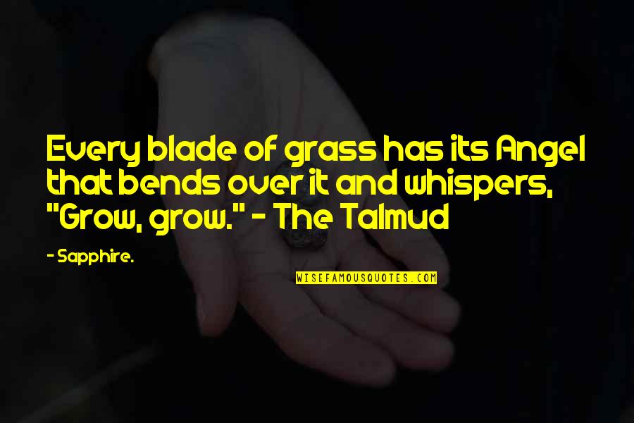 Creary Family Foundation Quotes By Sapphire.: Every blade of grass has its Angel that