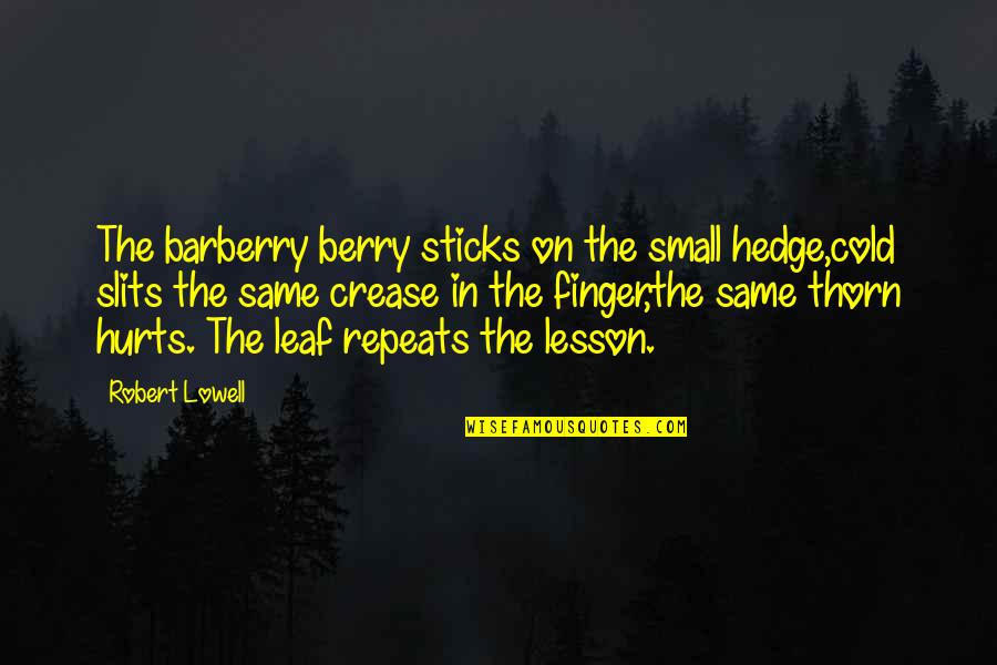 Crease Quotes By Robert Lowell: The barberry berry sticks on the small hedge,cold