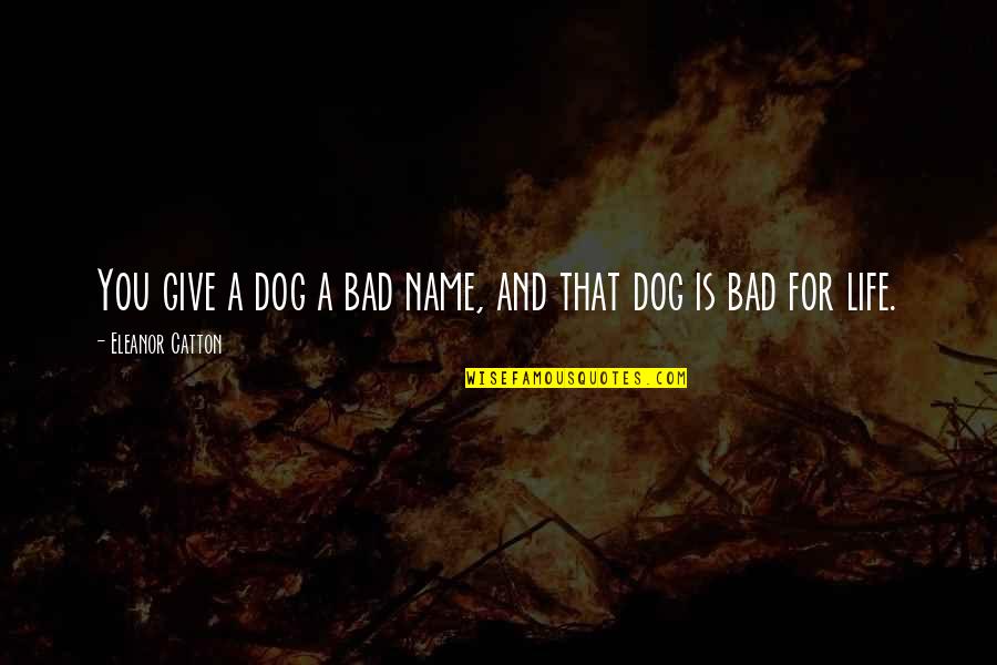 Create An Inspirational Quote Quotes By Eleanor Catton: You give a dog a bad name, and Create An Inspirational Quote Quotes By Eleanor Catton: You give a dog a bad name, and