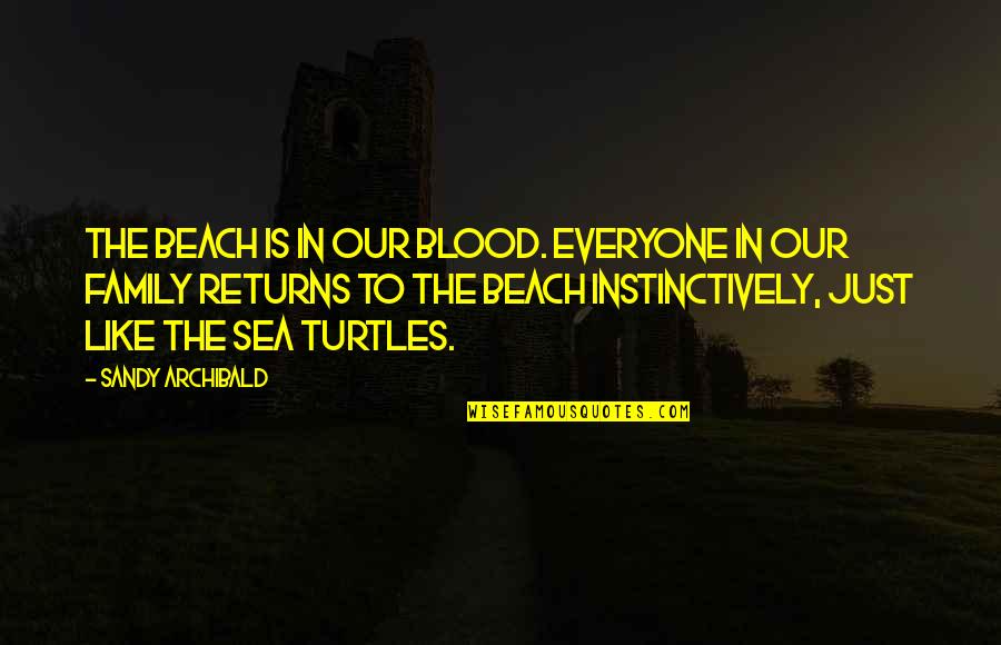 Create Movie Script Quotes By Sandy Archibald: The beach is in our blood. Everyone in