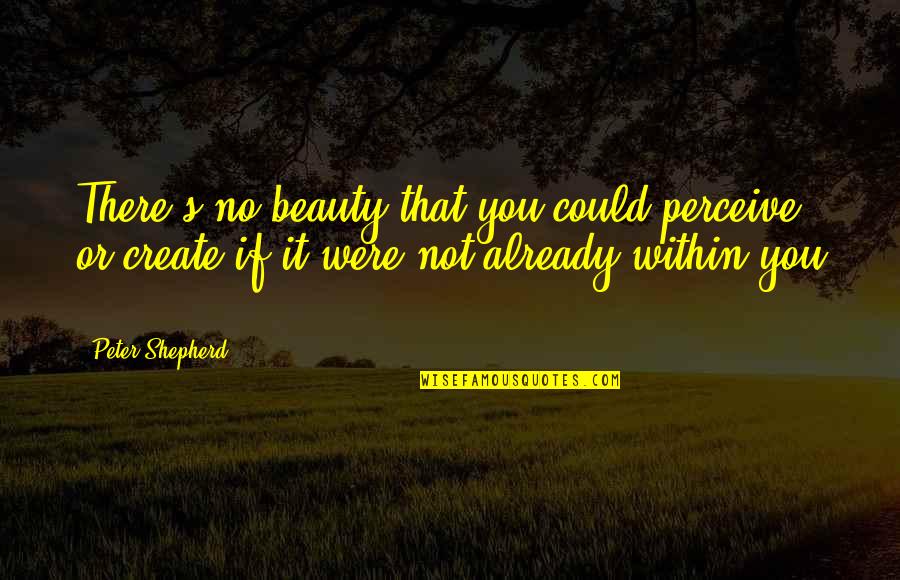 Create Quotes By Peter Shepherd: There's no beauty that you could perceive or
