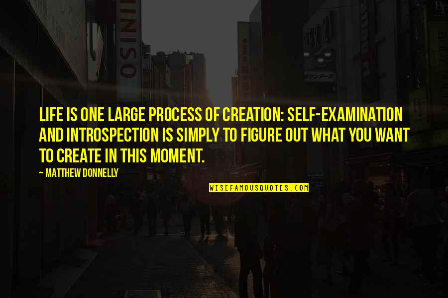 Create Self Quotes By Matthew Donnelly: Life is one large process of creation: Self-Examination