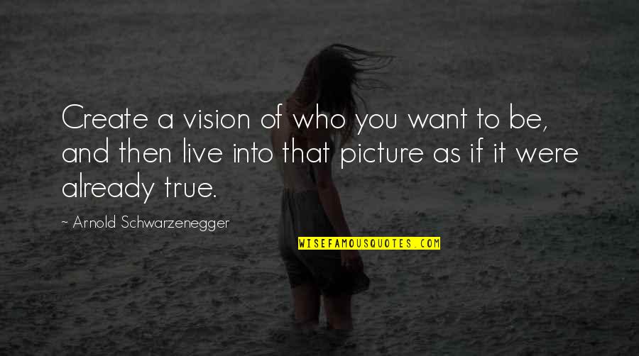 Create Who You Want To Be Quotes By Arnold Schwarzenegger: Create a vision of who you want to