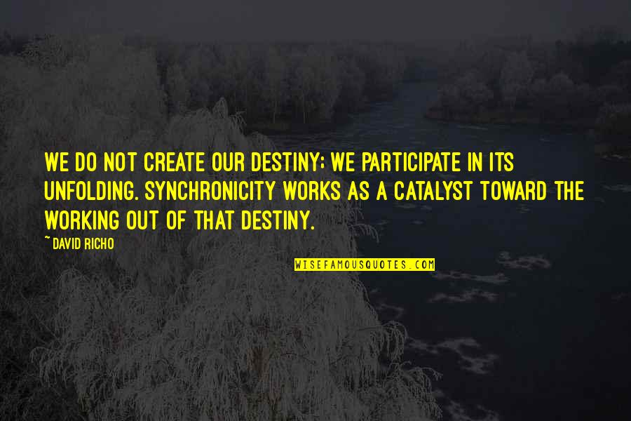 Create Your Own Destiny Quotes By David Richo: We do not create our destiny; we participate