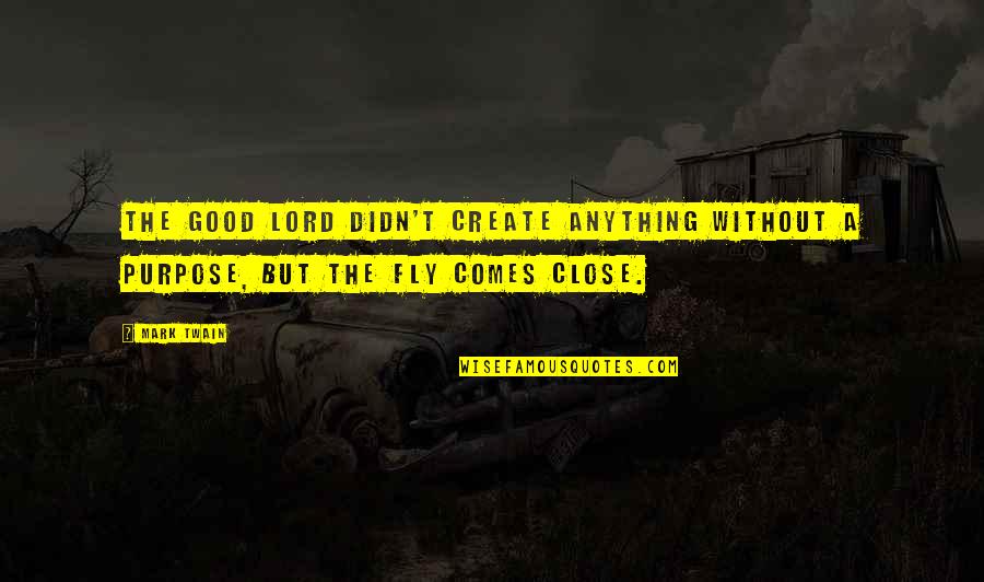 Create Your Own Funny Quotes By Mark Twain: The good Lord didn't create anything without a