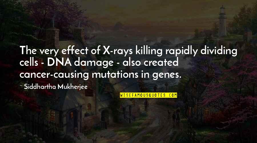 Created Quotes By Siddhartha Mukherjee: The very effect of X-rays killing rapidly dividing