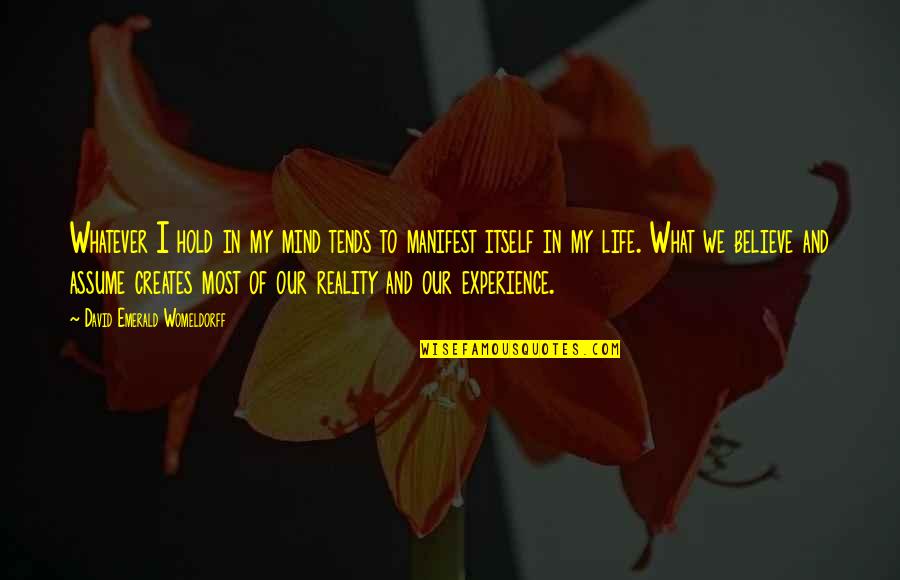 Creates The Reality Quotes By David Emerald Womeldorff: Whatever I hold in my mind tends to