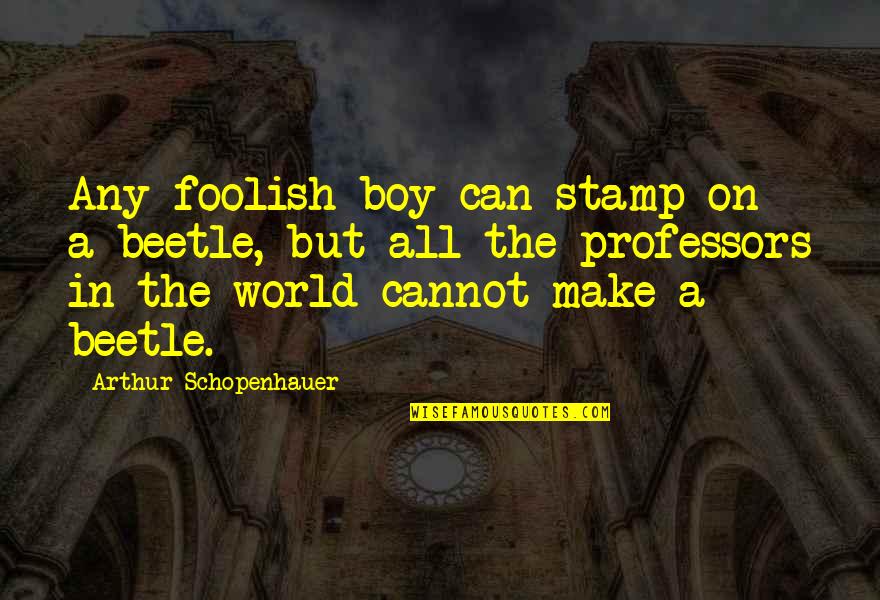 Creation And Destruction Quotes By Arthur Schopenhauer: Any foolish boy can stamp on a beetle,