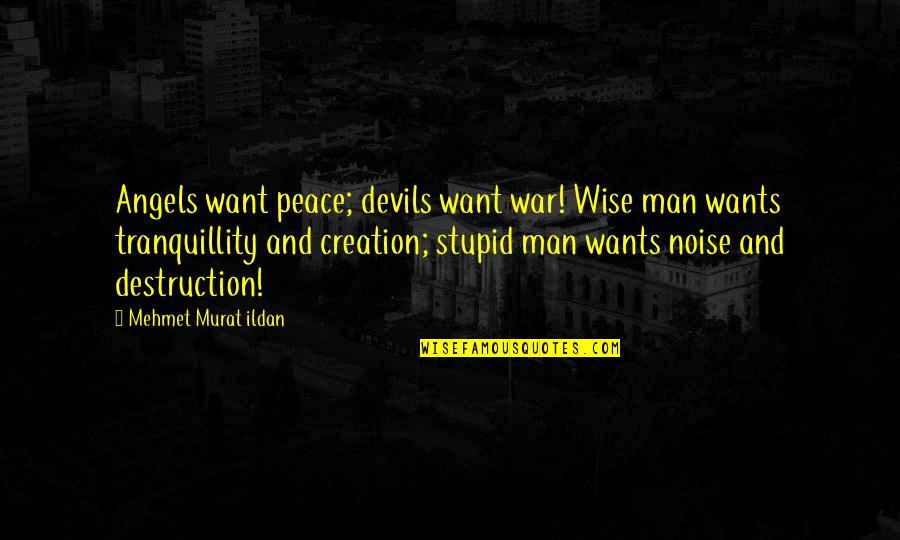 Creation And Destruction Quotes By Mehmet Murat Ildan: Angels want peace; devils want war! Wise man