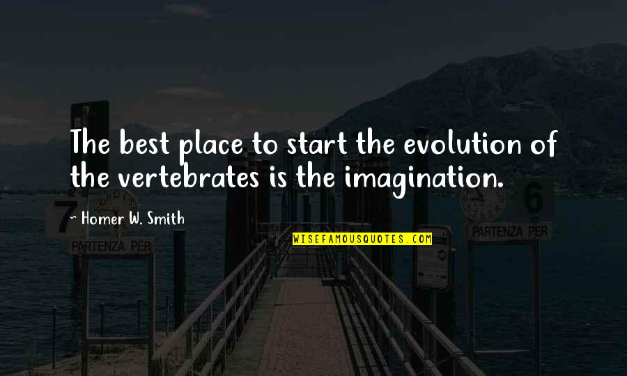 Creation And Evolution Quotes By Homer W. Smith: The best place to start the evolution of