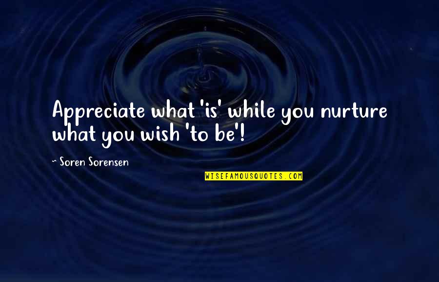 Creation And Evolution Quotes By Soren Sorensen: Appreciate what 'is' while you nurture what you