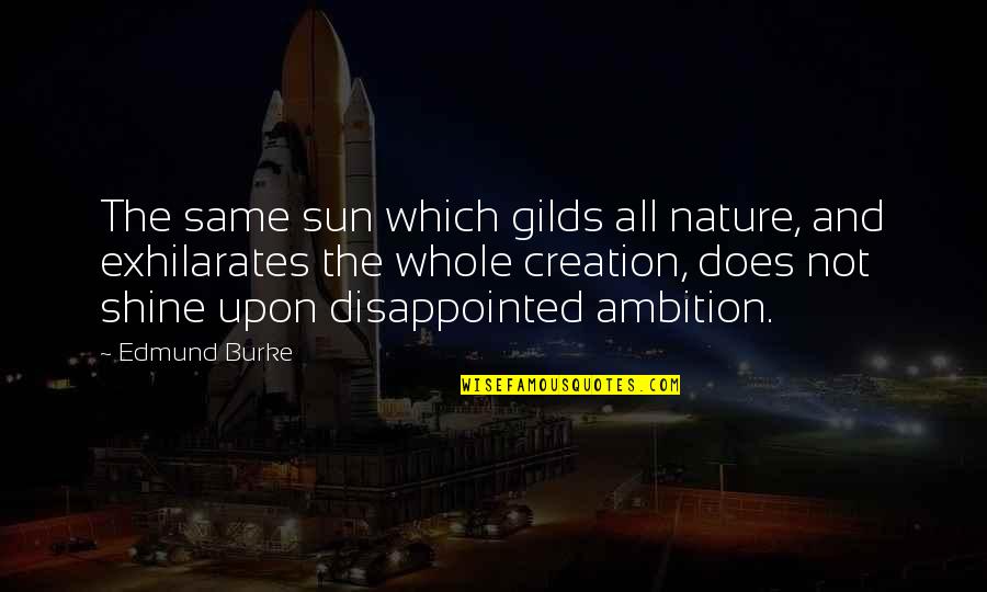Creation And Nature Quotes By Edmund Burke: The same sun which gilds all nature, and