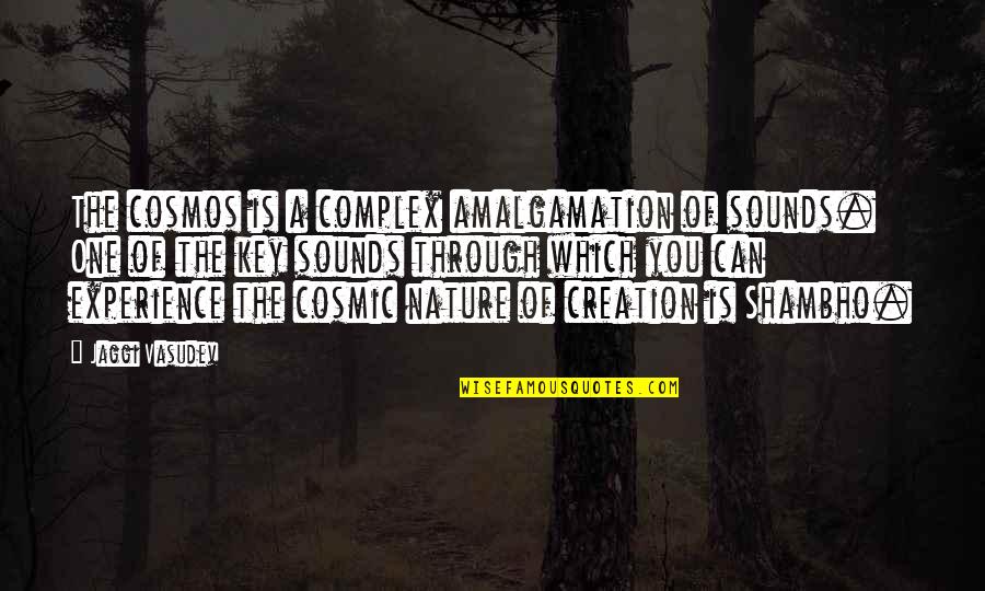 Creation And Nature Quotes By Jaggi Vasudev: The cosmos is a complex amalgamation of sounds.