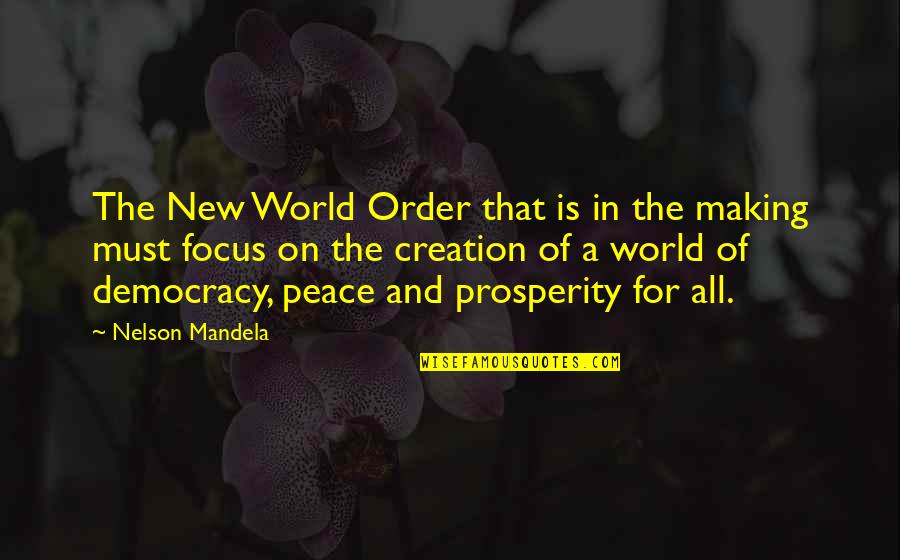 Creation Of The World Quotes By Nelson Mandela: The New World Order that is in the