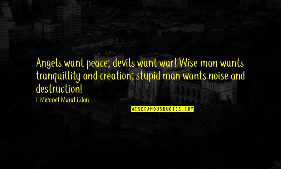 Creation Vs Destruction Quotes By Mehmet Murat Ildan: Angels want peace; devils want war! Wise man