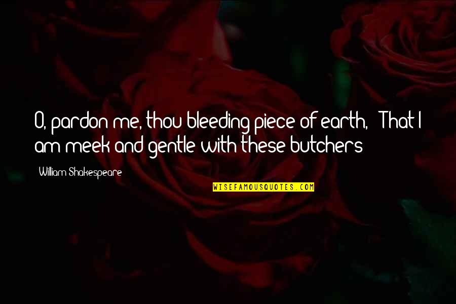 Creative Freshman Quotes By William Shakespeare: O, pardon me, thou bleeding piece of earth,