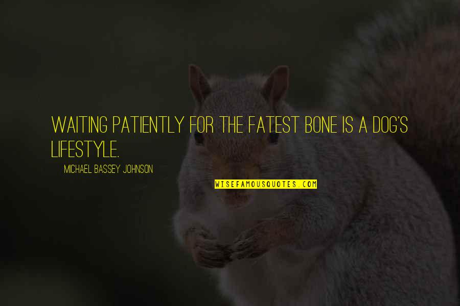 Creative Growth Quotes By Michael Bassey Johnson: Waiting patiently for the fatest bone is a