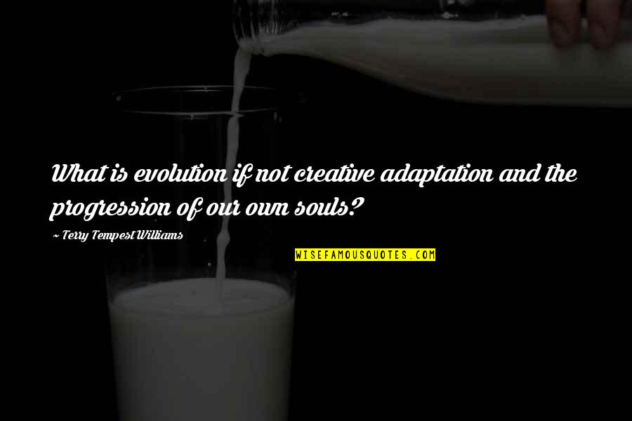 Creative Souls Quotes By Terry Tempest Williams: What is evolution if not creative adaptation and