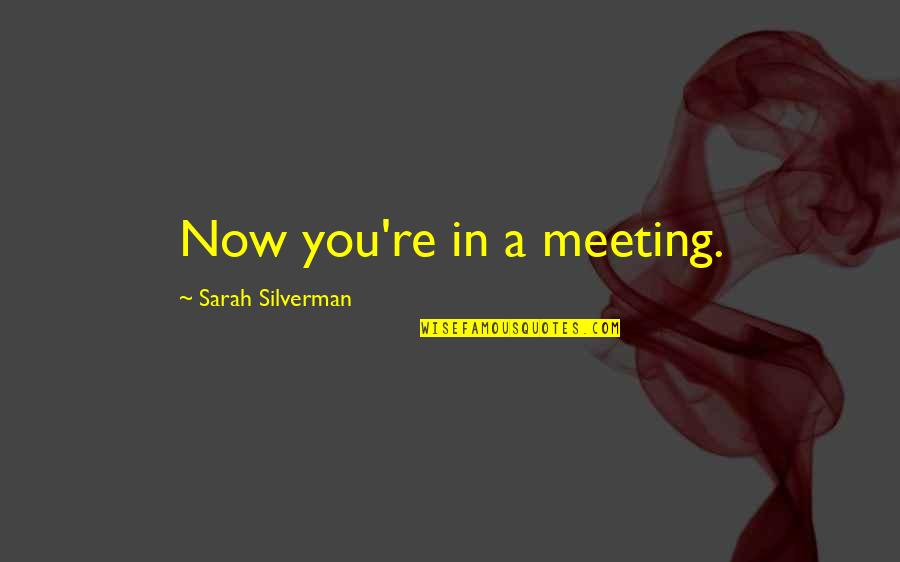 Creativity And Art For Kids Quotes By Sarah Silverman: Now you're in a meeting.