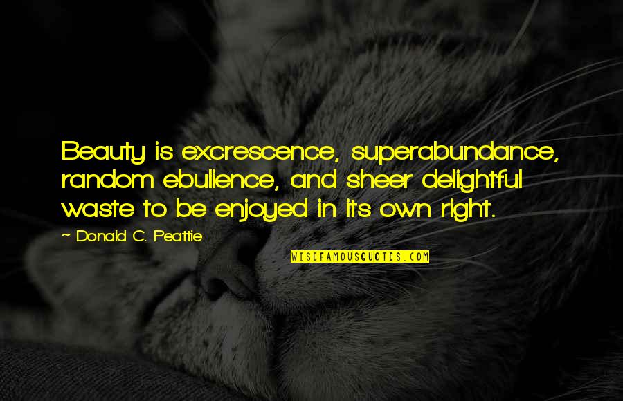 Creatrice De Contenu Quotes By Donald C. Peattie: Beauty is excrescence, superabundance, random ebulience, and sheer Creatrice De Contenu Quotes By Donald C. Peattie: Beauty is excrescence, superabundance, random ebulience, and sheer