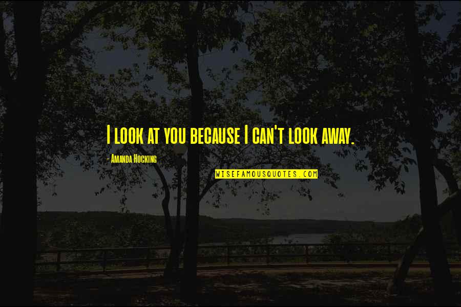 Creatrix Photography Quotes By Amanda Hocking: I look at you because I can't look