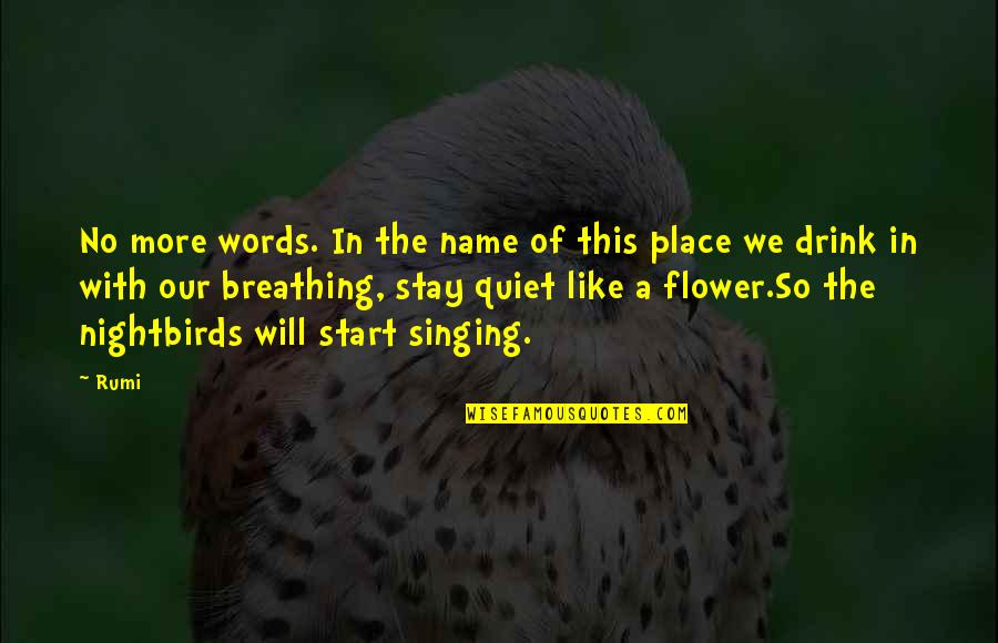 Crecher Quotes By Rumi: No more words. In the name of this Crecher Quotes By Rumi: No more words. In the name of this