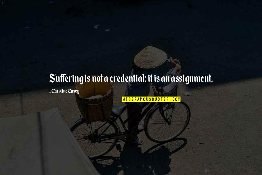 Credential Quotes By Caroline Casey: Suffering is not a credential; it is an