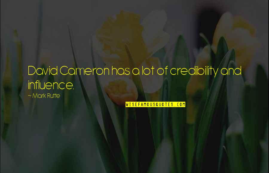 Credibility's Quotes By Mark Rutte: David Cameron has a lot of credibility and