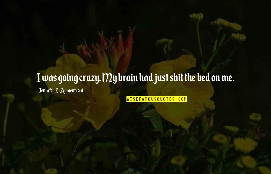 Crediting Quotes By Jennifer L. Armentrout: I was going crazy. My brain had just