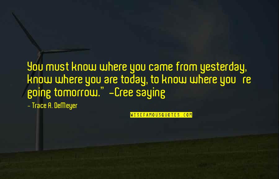 Cree Native Quotes By Trace A. DeMeyer: You must know where you came from yesterday,