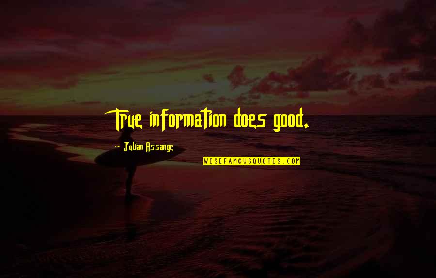 Creekmore Quotes By Julian Assange: True information does good.