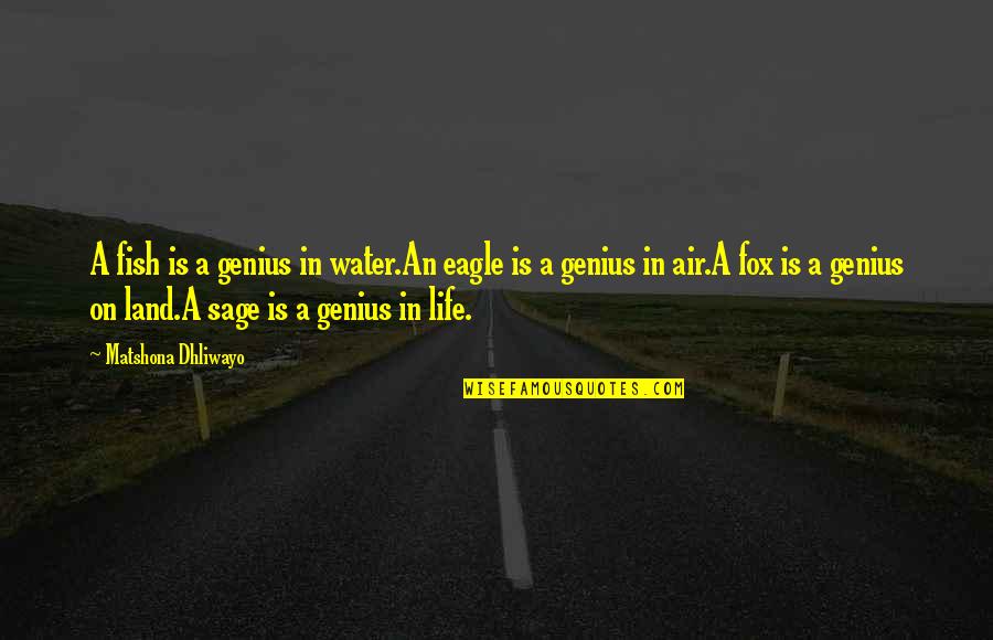 Creepier Quotes By Matshona Dhliwayo: A fish is a genius in water.An eagle