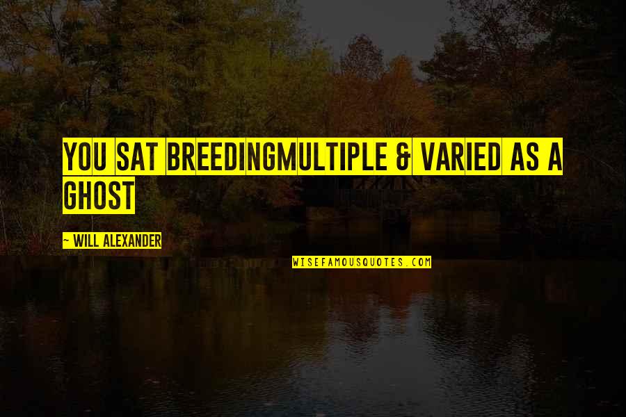 Creeping Barrage Quotes By Will Alexander: you sat breedingmultiple & varied as a ghost Creeping Barrage Quotes By Will Alexander: you sat breedingmultiple & varied as a ghost
