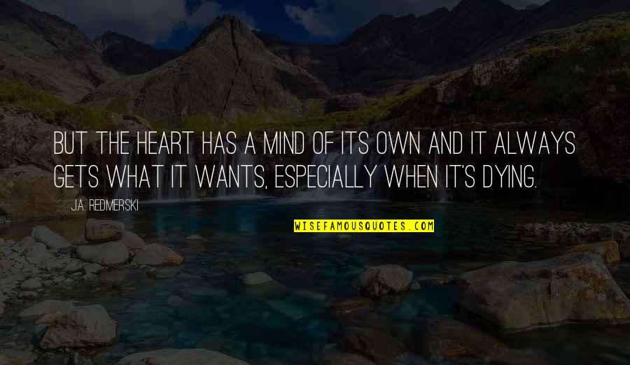 Creepy And Scary Quotes By J.A. Redmerski: But the heart has a mind of its