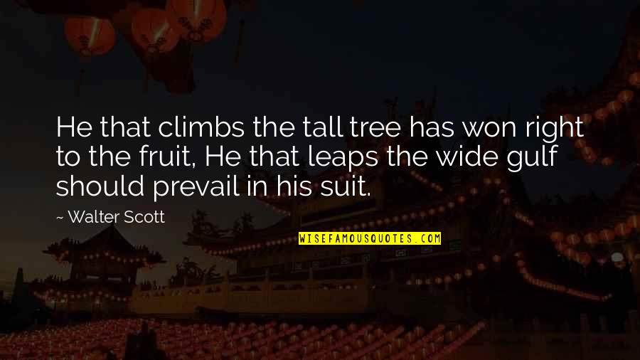 Cremata Fine Quotes By Walter Scott: He that climbs the tall tree has won