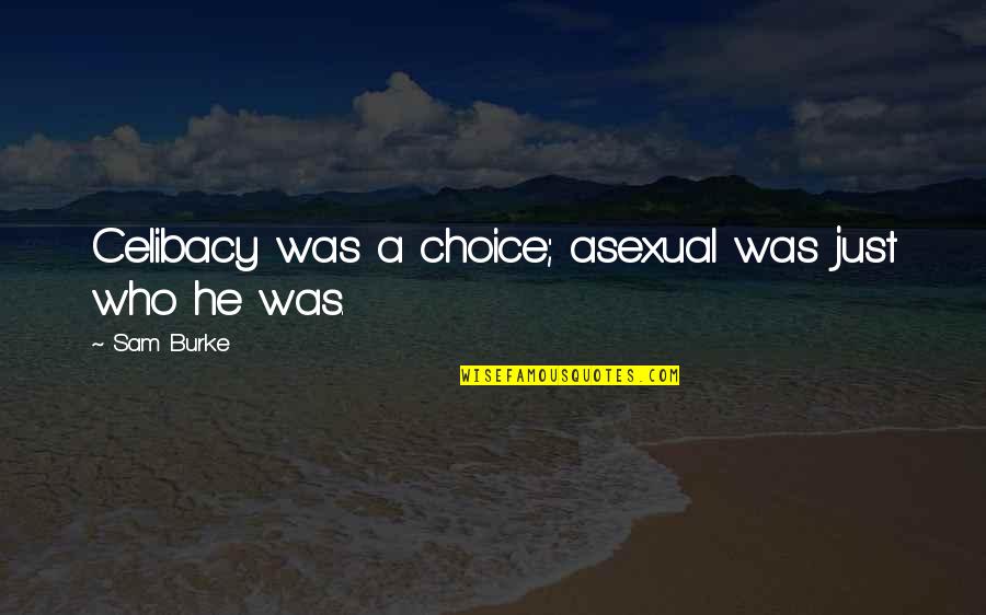 Crenos Coshocton Quotes By Sam Burke: Celibacy was a choice; asexual was just who