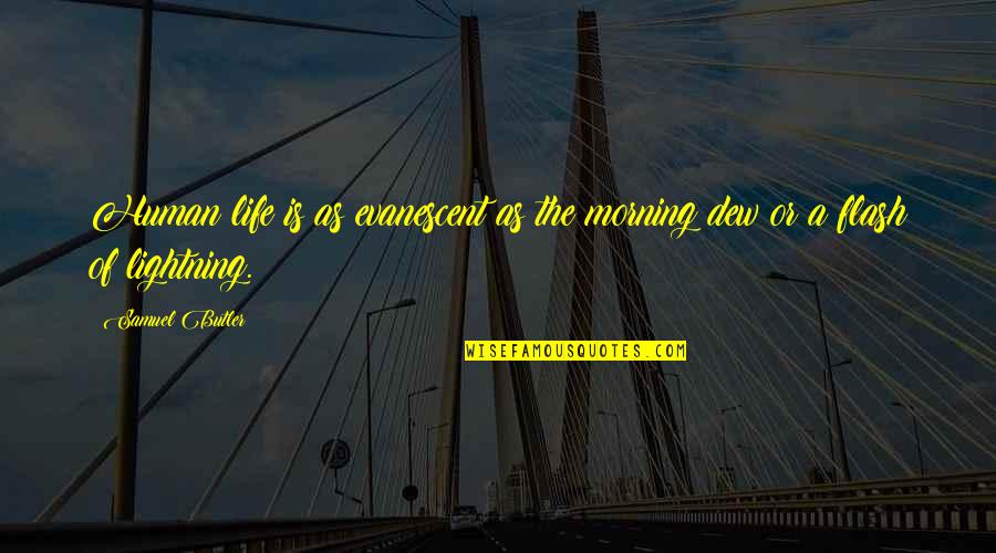 Crenos Coshocton Quotes By Samuel Butler: Human life is as evanescent as the morning