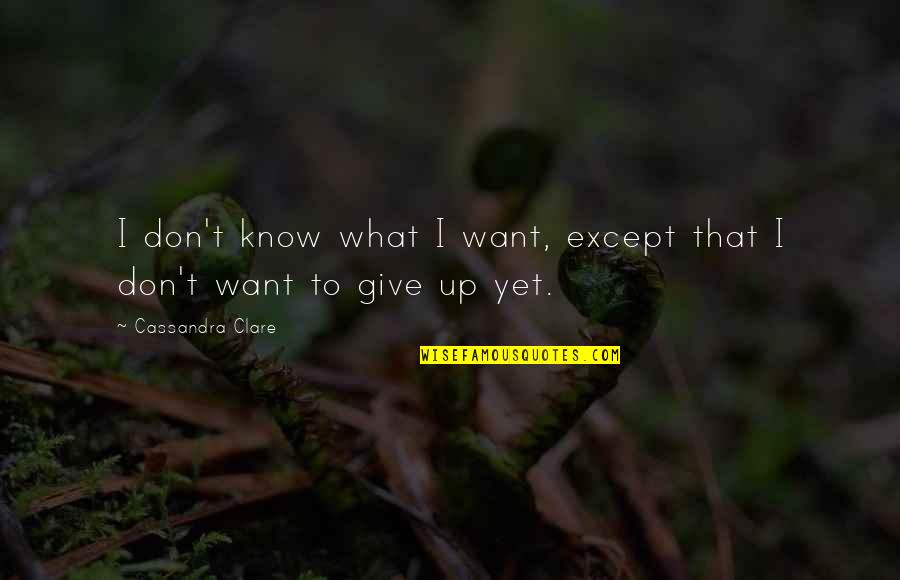 Crenth Quotes By Cassandra Clare: I don't know what I want, except that