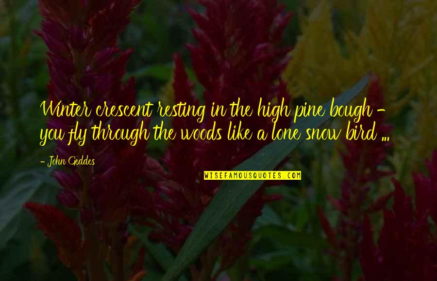 Crescent Moon Quotes By John Geddes: Winter crescent resting in the high pine bough Crescent Moon Quotes By John Geddes: Winter crescent resting in the high pine bough