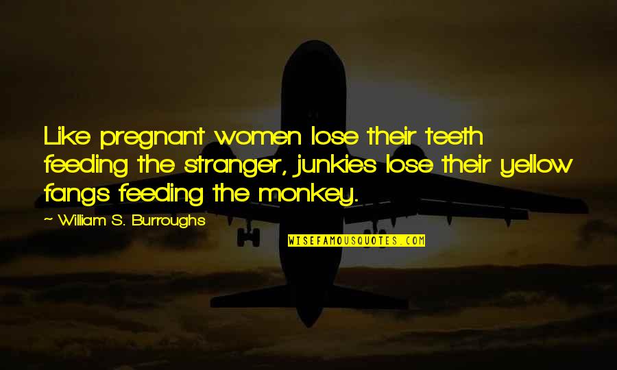 Cresons Mattress Quotes By William S. Burroughs: Like pregnant women lose their teeth feeding the