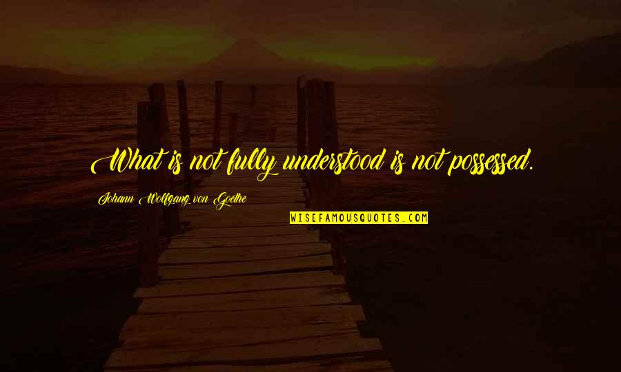 Cressman Insurance Quotes By Johann Wolfgang Von Goethe: What is not fully understood is not possessed.