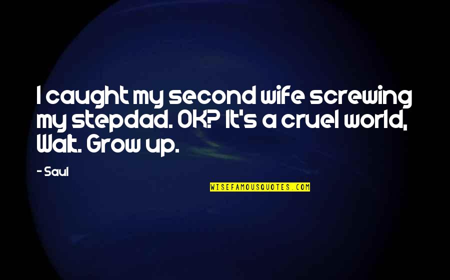 Crestani Management Quotes By Saul: I caught my second wife screwing my stepdad.