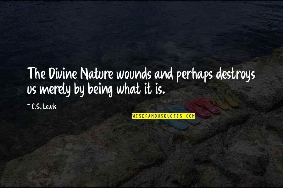 Crew Row Quotes By C.S. Lewis: The Divine Nature wounds and perhaps destroys us