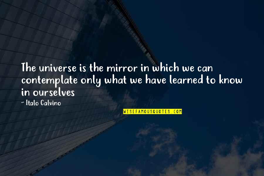 Cribbed Dock Quotes By Italo Calvino: The universe is the mirror in which we