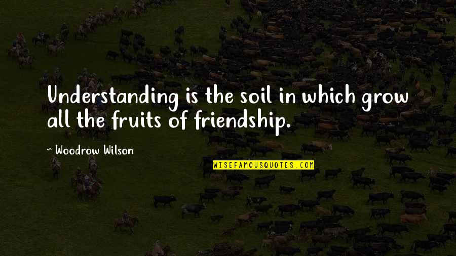 Cribella Quotes By Woodrow Wilson: Understanding is the soil in which grow all