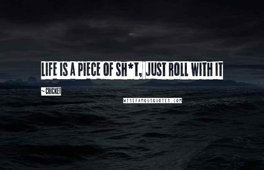 Cricket quotes: Life is a piece of sh*t, just roll with it