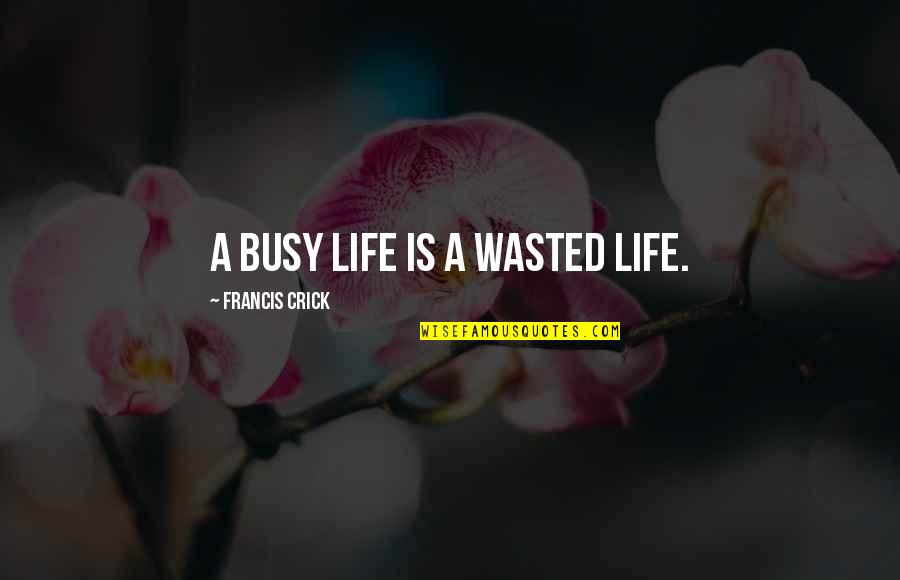 Crick's Quotes By Francis Crick: A busy life is a wasted life.